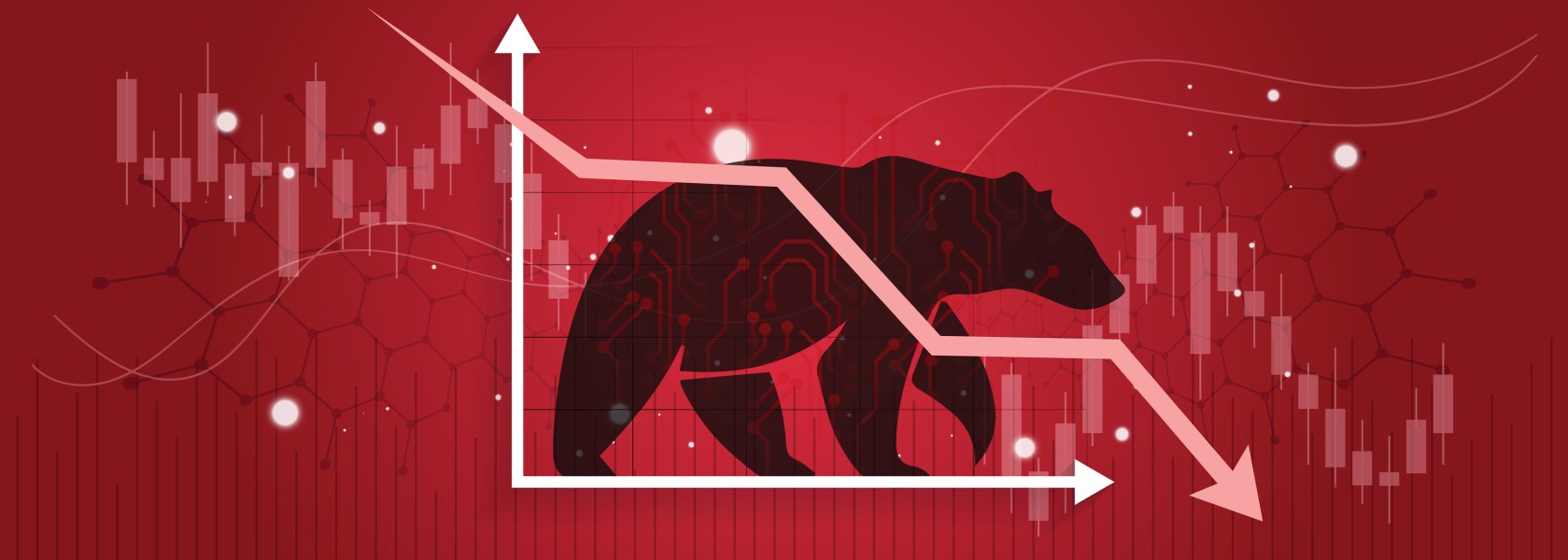 crypto bear on red background