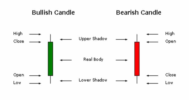 Bullish and bearish candles