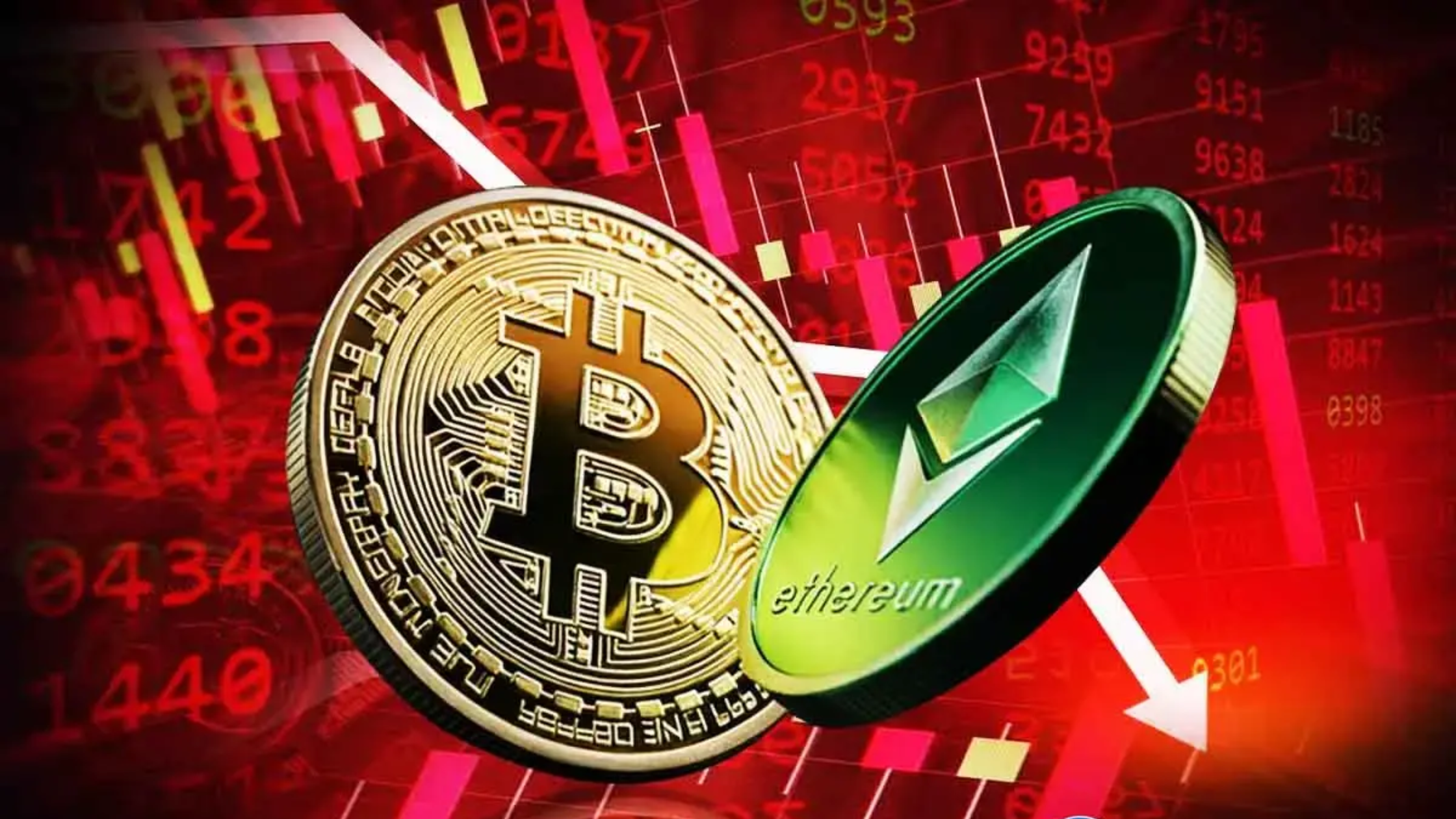 crypto treasury stocks plunge